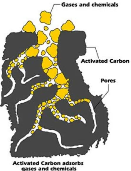 Figura 4. Struttura dei pori in un tipico carbone attivato 