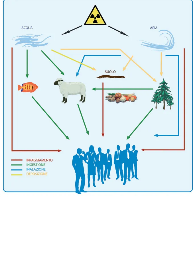 Figura 14: diffusione della radioattività nell’ambiente