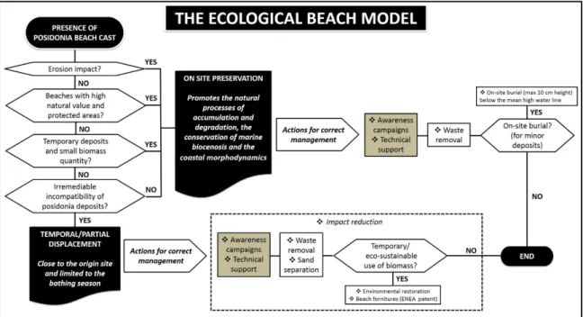 Figure 2. Flowchart of the sustainable management of posidonia beach-casts according to the 