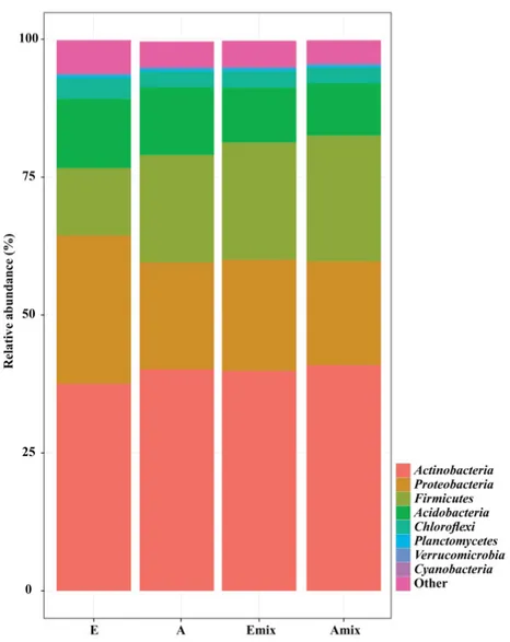 Figure 1. Taxa plot showing the relative abundance of the major phyla in stands of pure Eucalyptus (E) (n = 9) and pure Acacia (A) (n = 9), and mixed-species stands (Emix, 50% Acacia and 50% Eucalyptus with soil sampled near Eucalyptus trees, n = 9; Amix, 