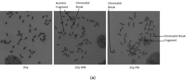 Figure 7. Cont.