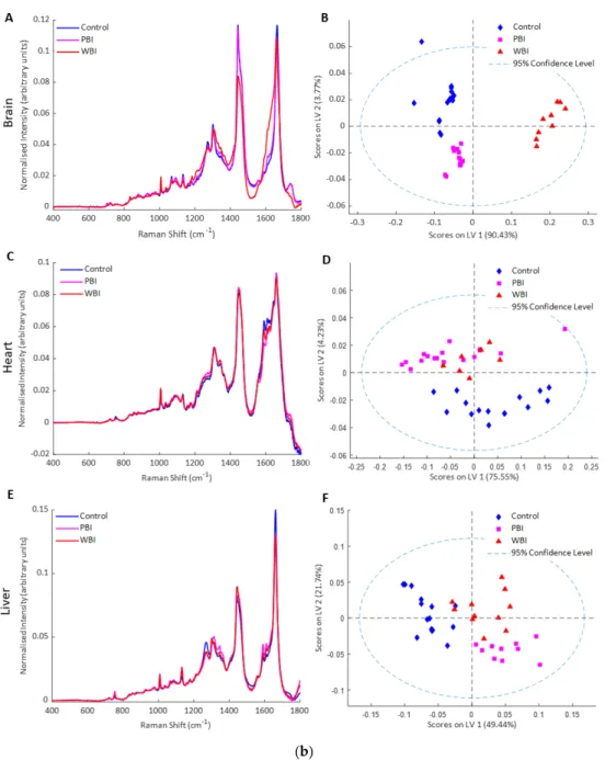 Figure 3. Raman spectroscopy of exosomes (a) 24 h post-IR: (A) mean Raman spectra from exosomes 