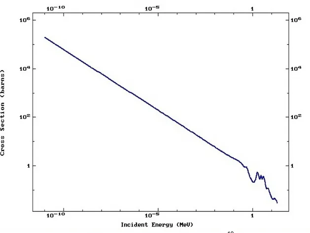 Figura 3 - Sezione d 'urto della reazione  10 B (n,)Li 