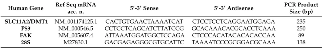 Table 1. Details of primer sequences for the qPCR assays. For each gene, the NCBI accession number of the mRNA reference sequence (Ref Seq mRNA; rDNA for the 28S ribosomal gene) used for primer design is reported