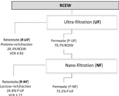 Figure 1. Flow-chart of fractionation process. RCEW ricotta cheese exhausted whey, R-UF and P-UF 