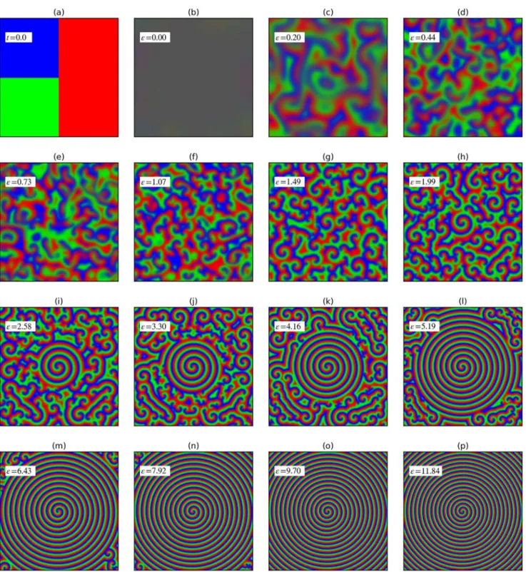 Fig. 8. Snapshots of the strategy density field in RGB representation for N = 2048 × 2048, γ 2 = 16, M = ∞, t = 400.