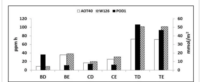 Figure 4. Average value of AOT40 (white bars), W126 (line bars) and POD1 (black bars) in the six forest types: B, Boreal; C, Continental; T, (sub)tropical; D, deciduous; E, evergreen.
