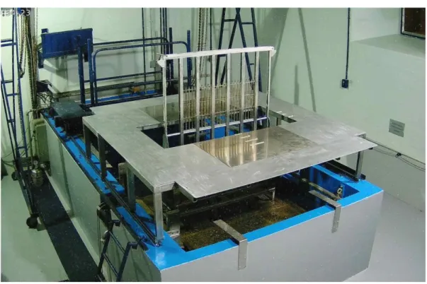 Figure 4 - Irradiation cell with  60 Co sources rack and the platform for sample positioning   (picture acquired by local remote camera acquisition)