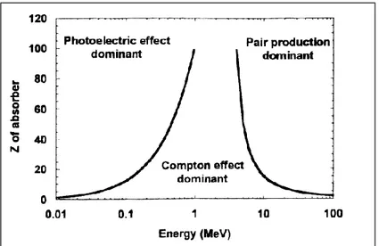 Figure 13 - Relative probability of photoelectric, Compton and pair production effects [8]