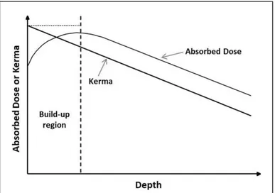 Figure 16 - Schematic plot of absorbed dose dependence on sample depth. 