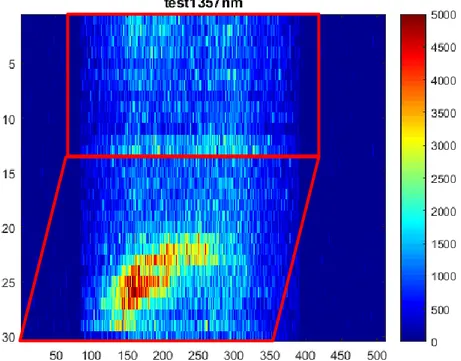 Figura 5. Immagine di fluorescenza filtrata a 357 nm del baule riempito con acqua al livello 1