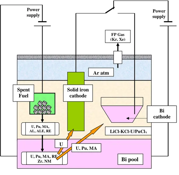 Figura 3 – Diagramma schematico del processo di elettroraffinazione 
