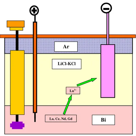 Figura 5 – Schema del processo di elettroraffinazione per la rimozione  di metalli inquinanti dal bismuto fuso 