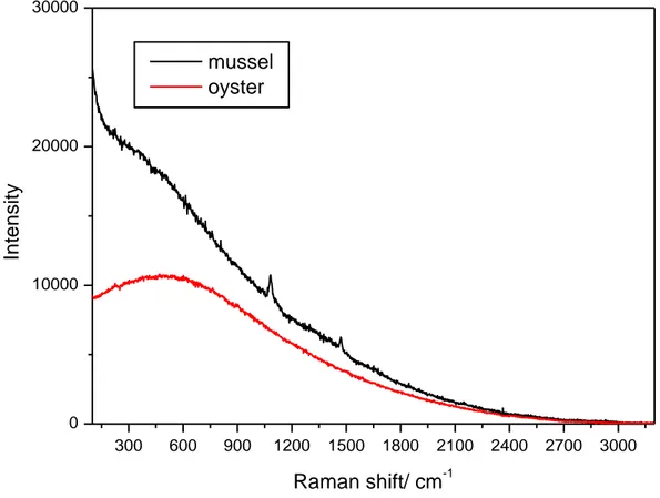 Figura 1-10- Spettro Raman su tessuto liofilizzato di cozza (nero) e ostrica (rosso). Si osservi la forte e emissione di fluorescenza  Annex 2  Misure FT-IR 