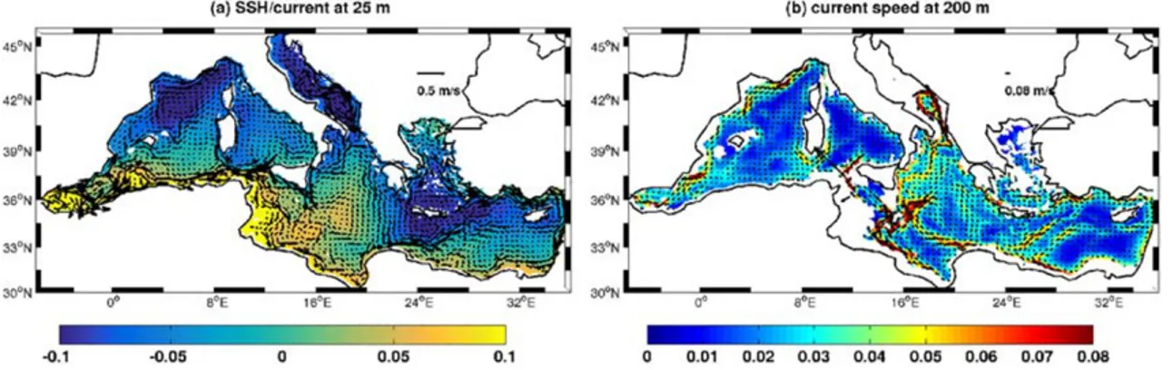 Figure 11a shows the mean dynamic sea surface height (SSH) and the mean circulation at 25 m (a) in the Mediterranean Sea for the period 2000 –2006