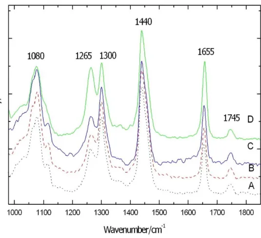 Figure 8  shows the normalised Raman spectra of olive and sunflower oil. Each spectrum is  the average of four scans, data smoothing was not necessary