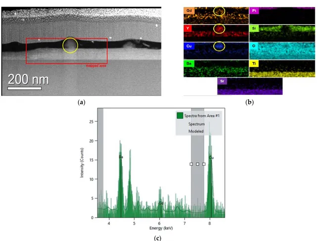 Figure S1. TEM overview of YBCO-Gd 5% film deposited with standard process. Cross-section view:  HAADF STEM image showing the mapped area together with elemental Y, Gd, Ba, and Cu EDX maps  confirming  a  uniform  Y  and  Gd  distribution