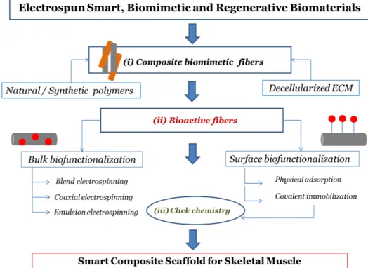 Figure 1. Flow chart for designing process of smart electrospun scaffold for skeletal muscle regeneration