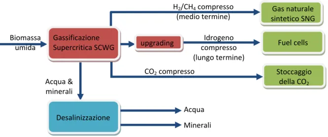 Figura 1: Possibili applicazioni per il processo SCWG 