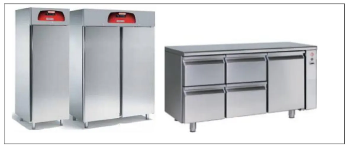 Figura 13: Esempi di frigoriferi professionali 