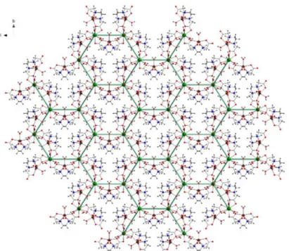 Figure 5. View of the two-dimensional layer with a honeycomb like structure along the a axis in 1 (free water molecules omitted for clarity).