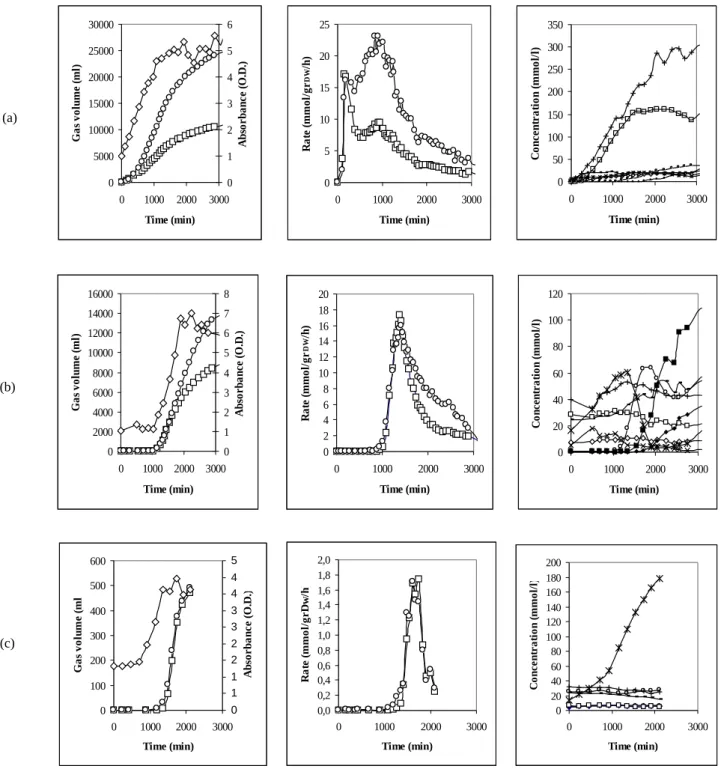 Figure 6 – Batch fermentations at different initial conditions. 500 ml of a saturated culture of K