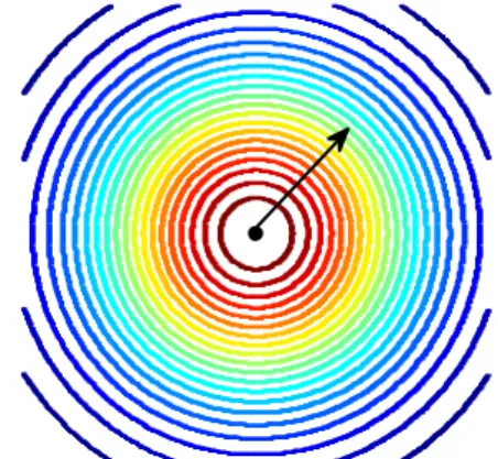 Fig. 23 - A decreasing function w.r.t. the distance  from the “source of danger”