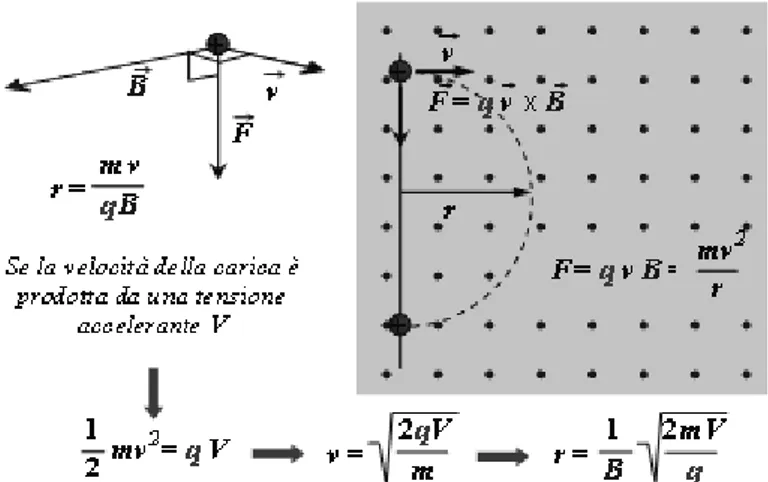 Fig. I.3 – Deflessione di una carica in un campo magnetico: forza di Lorentz e traiettorie  crcolari (Fonte F