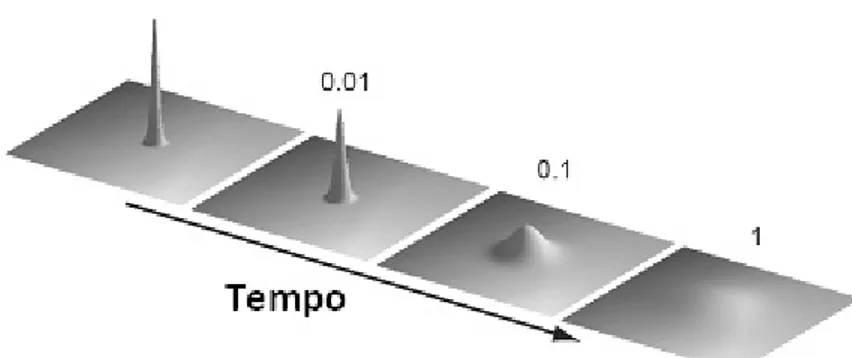 Fig. I.18 - Evoluzione rispetto al tempo di una distribuzione soggetta ad un processo  diffusivo.