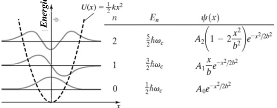 Fig. III.17 - Potenziale quadratico e autofunzioni relative ai primi tre livelli energetici di  oscillatore armonico