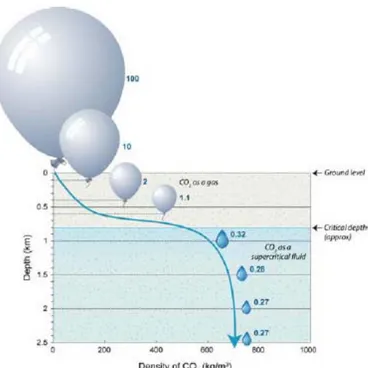 Fig 3.11 Densità della CO2 all’aumentare della profondità di stoccaggio (Fonte:IEA GHG, Geologic Storage of  Carbon Dioxide: staying safely underfround, 2008). 