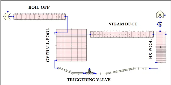 Figura 18: Modello delle piscine e delle linee di connessione. 