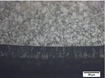 Fig. 25 Micrografia MO 200X provino esposto in Pb  fuso 