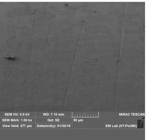 Fig. 7. Immagine ‘top view’ di uno dei campioni ricoperti con Al 2 O 3 , avente spessore di 1 µm, dopo 