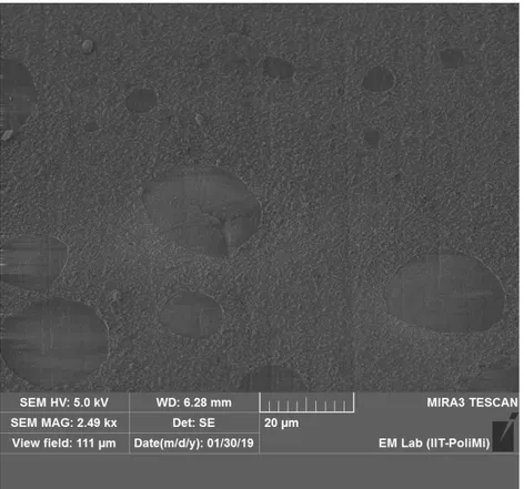 Fig. 10. Immagine ‘top view’ di uno dei campioni ricoperti con Al 2 O 3 , di spessore di 3 µm, dopo la 
