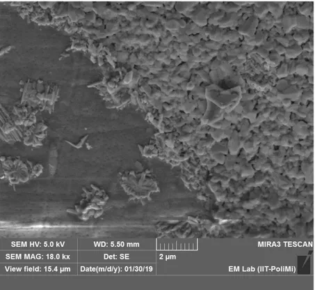 Fig.  13.  Immagine  ‘top  view’  di  uno  dei  campioni  ricoperti  con  Al 2 O 3 ,  avente  spessore  di  5  µm; 