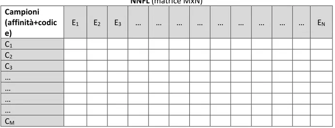 Tabella 1: schema di principio della matrice NNFL. 