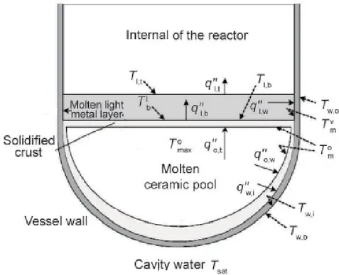 Figure 9: Scheme of the melt pool. Temperatures T w , T m  and T l  or T b  refer the water, the  molten core, the light metal layer and to the crust, respectively