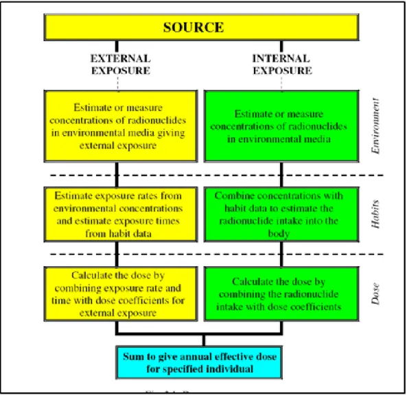 Figure 2 Dose assessment process according to ICRP101a [18] 