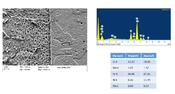 Fig.  16  Micrografia  SEM  interfaccia  substrato  diffusion coating 