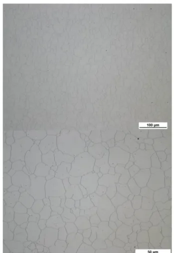 Figura  4.17  –  Analisi  OM  (10X  sinistra,  20X  destra)  della  microstruttura  dell’acciaio  AISI316 non  sottoposto a trattamento di alluminizzazione (tal quale) dopo attacco chimico per evidenziarne il grano  austenitico