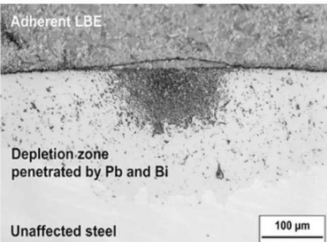 Figura 1: AISI 316L dopo l'esposizione in LBE fluente per 7518 ore a 550°C e concentrazioni di  ossigeno disciolto pari a 10 -6  % in peso