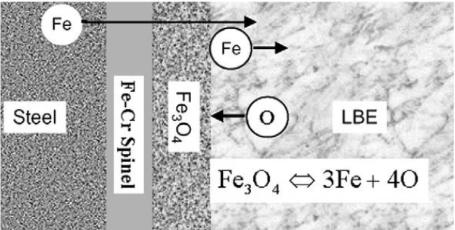 Figure 2.  Oxide layer forms at the steel/liquid metal interface.[from Zhang 2008] 
