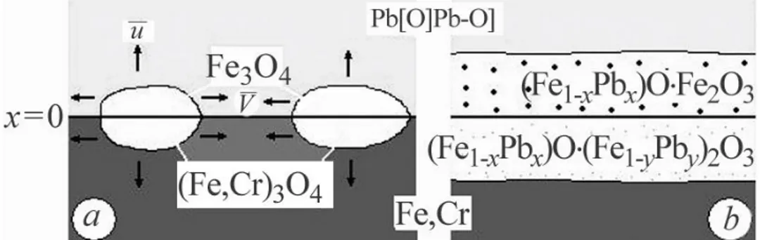 Figure 3.  Schematic diagram of growth of the double oxide layer on the surface of 20Kh13 steel in the  lead melt saturated with oxygen at 650°C.[Eliseeva 2005] 