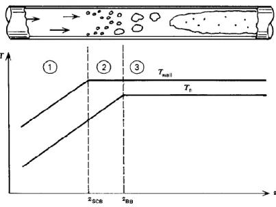 Figura 11. Profili di temperatura in un canale in presenza di ebollizione. 