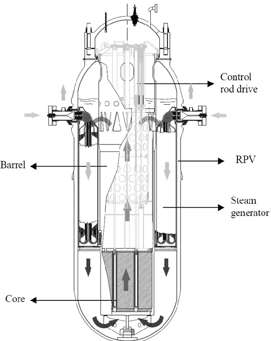 Figura 1. Schema di funzionamento di un reattore integrato tipo CAREM 