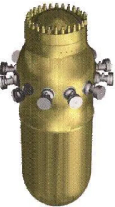 Figura 2. Recipiente in pressione di un reattore tipo CAREM 