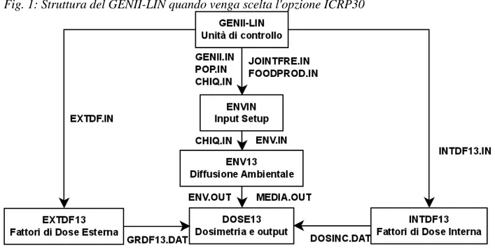 Fig. 1: Struttura del GENII-LIN quando venga scelta l'opzione ICRP30