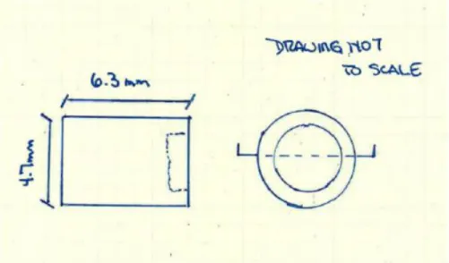 Figura 2: schema a mano libera, della capsula-sorgente. 