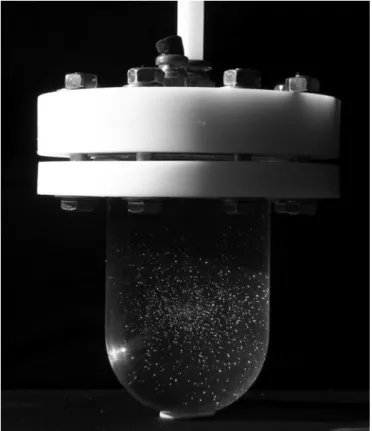 Figure 8. Photograph of an irradiated 0.5 L emulsion  chamber for 3D dosimetry 